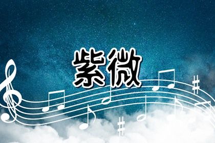 常见紫微误区
